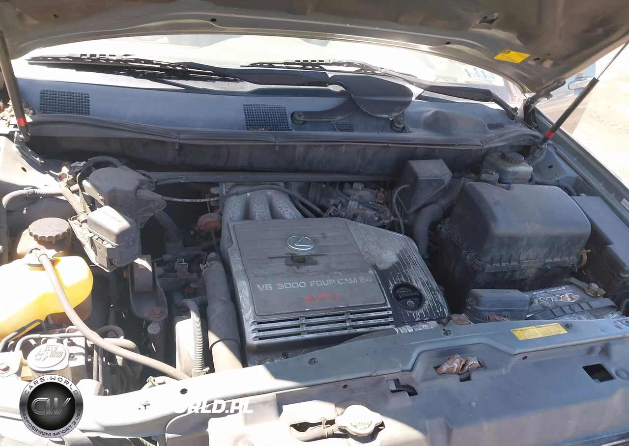 2003 Lexus Rx 300 Base (A4) VIN:JTJHF10U330296191 - 10