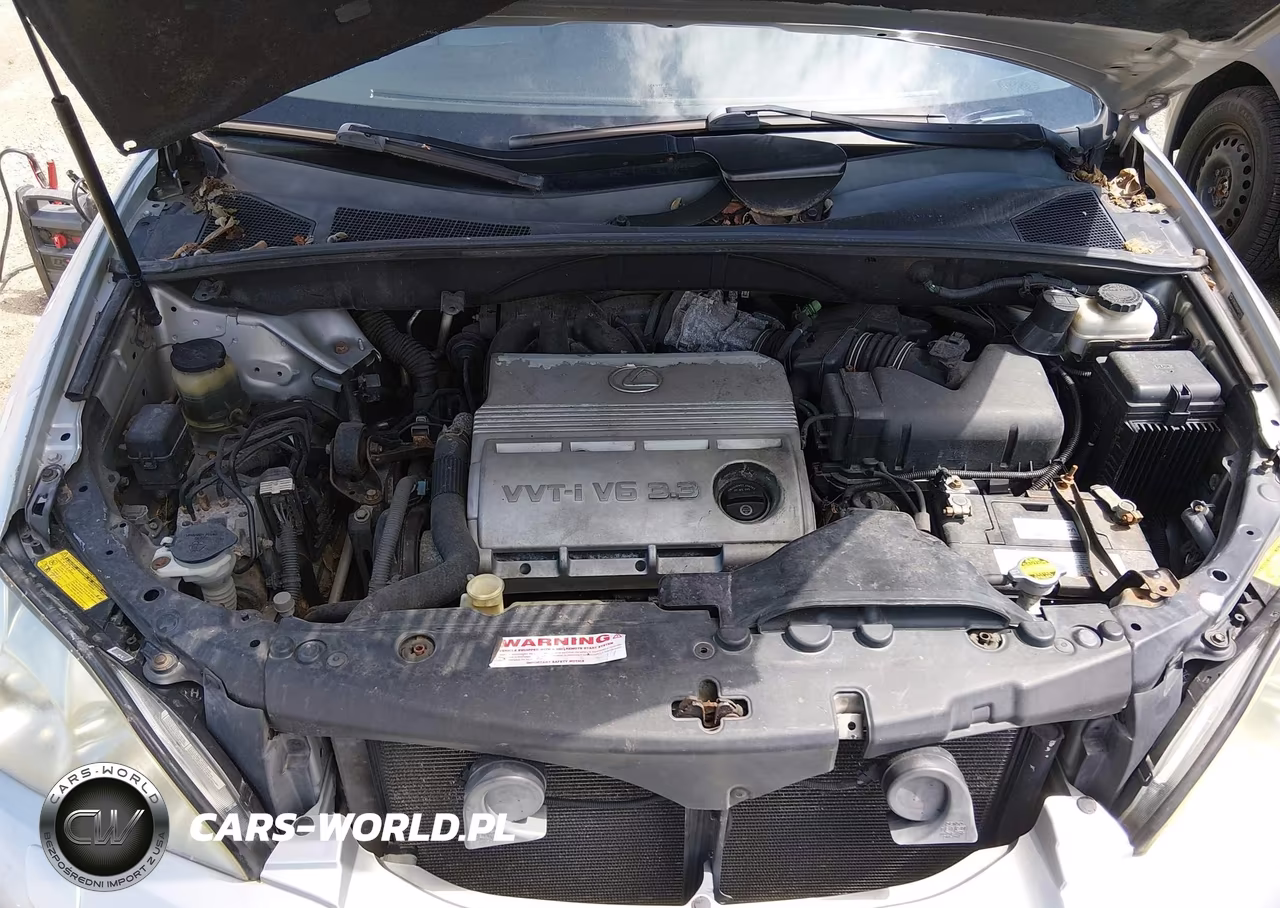 2004 Lexus Rx 330 VIN:2T2HA31U44C011156 - 10