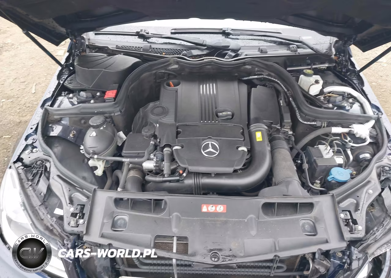 2012 Mercedes-Benz C 250 VIN:WDDGJ4HB6CF876541 - 10