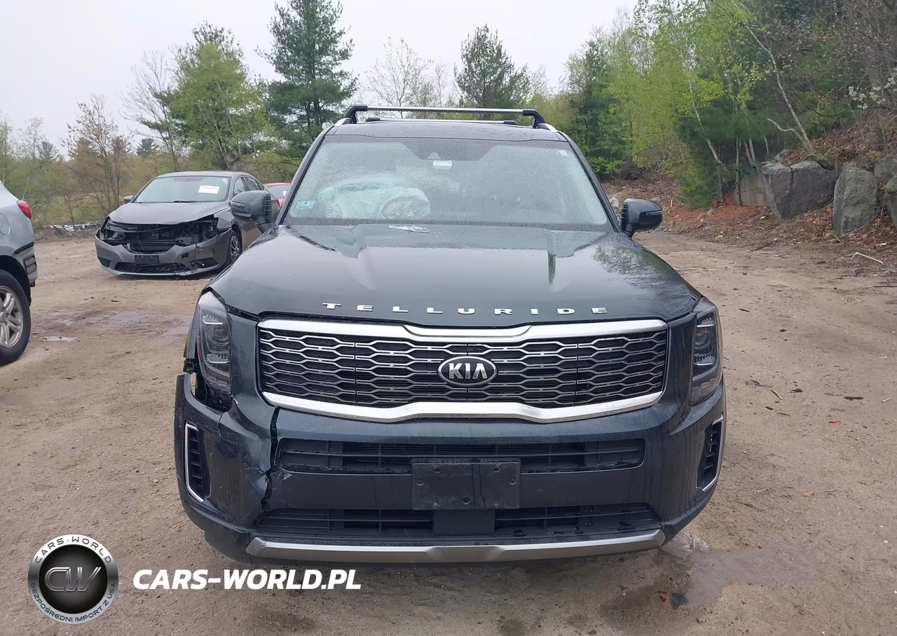 2020 Kia Telluride Ex VIN:5XYP3DHCXLG080501 - 12