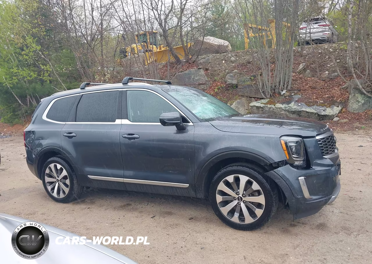 2020 Kia Telluride Ex VIN:5XYP3DHCXLG080501 - 13