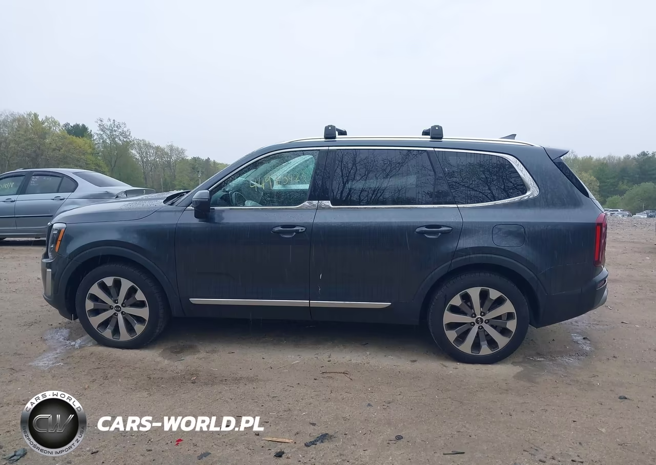 2020 Kia Telluride Ex VIN:5XYP3DHCXLG080501 - 14