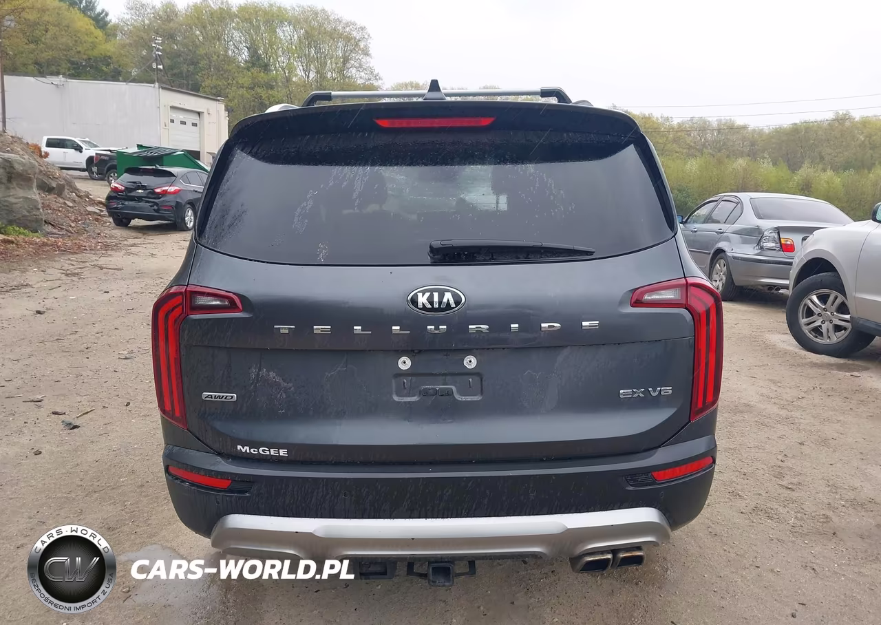 2020 Kia Telluride Ex VIN:5XYP3DHCXLG080501 - 16
