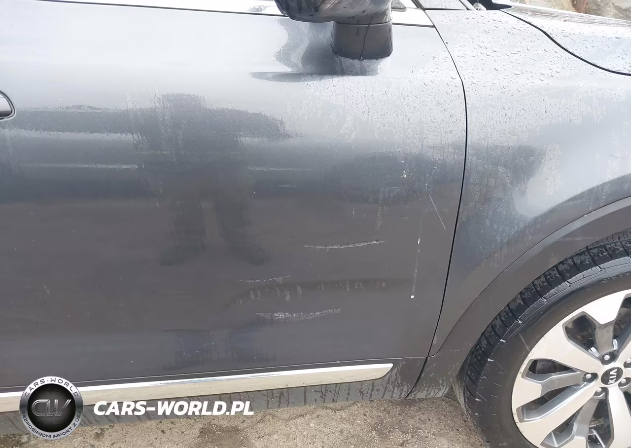 2020 Kia Telluride Ex VIN:5XYP3DHCXLG080501 - 17
