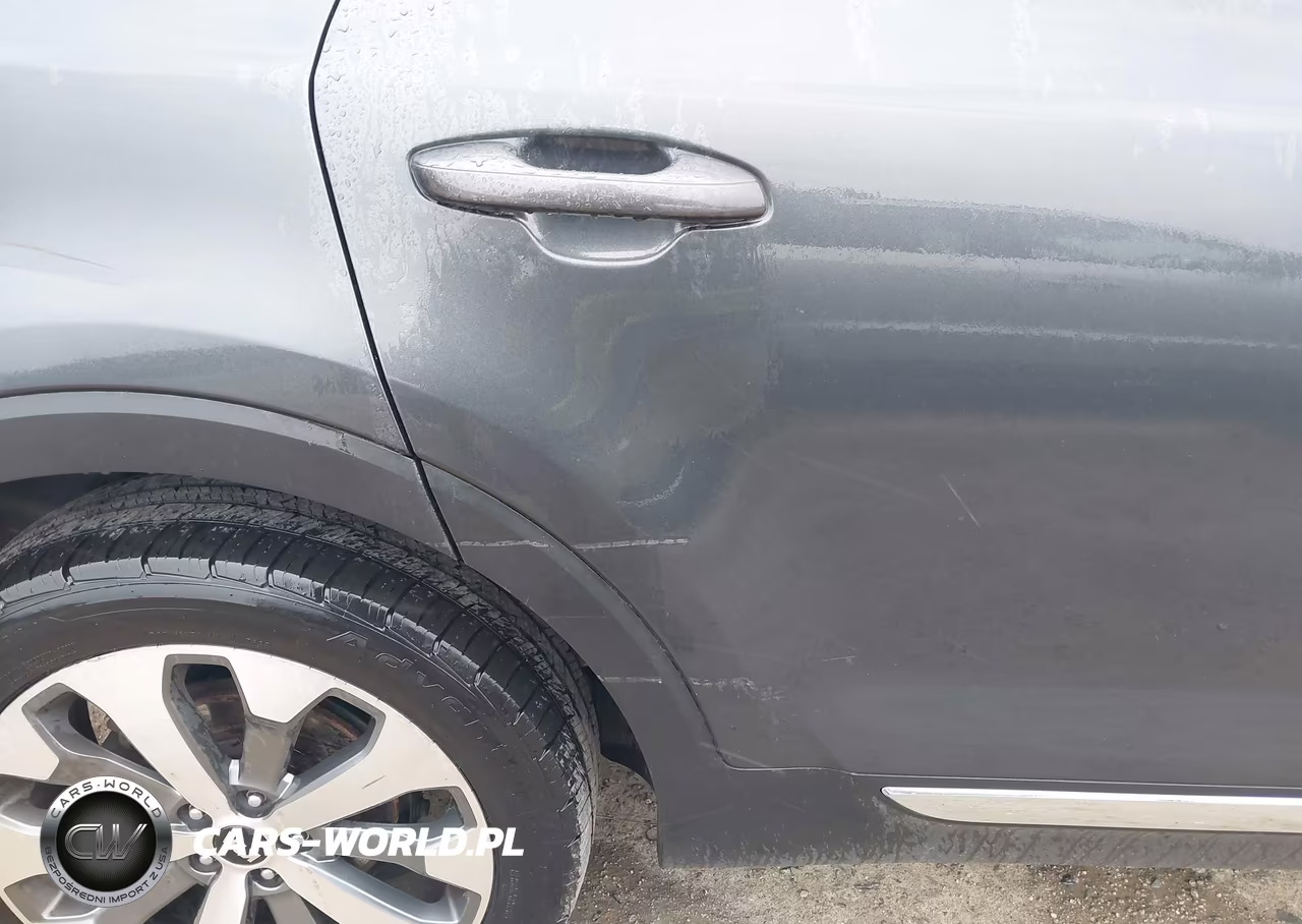 2020 Kia Telluride Ex VIN:5XYP3DHCXLG080501 - 18