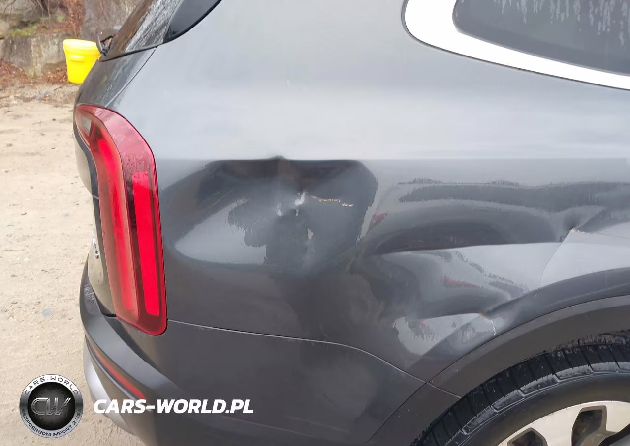 2020 Kia Telluride Ex VIN:5XYP3DHCXLG080501 - 19