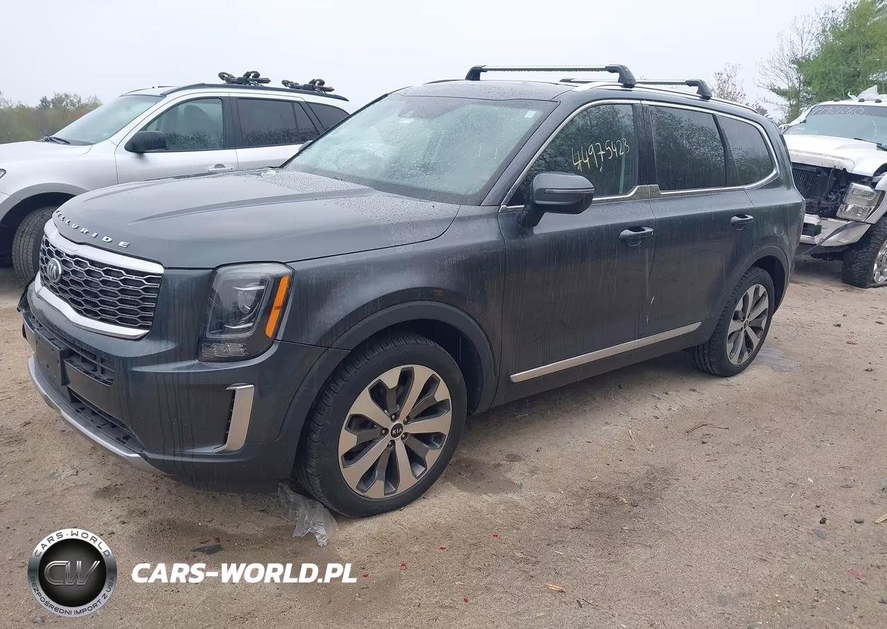 2020 Kia Telluride Ex VIN:5XYP3DHCXLG080501 - 2