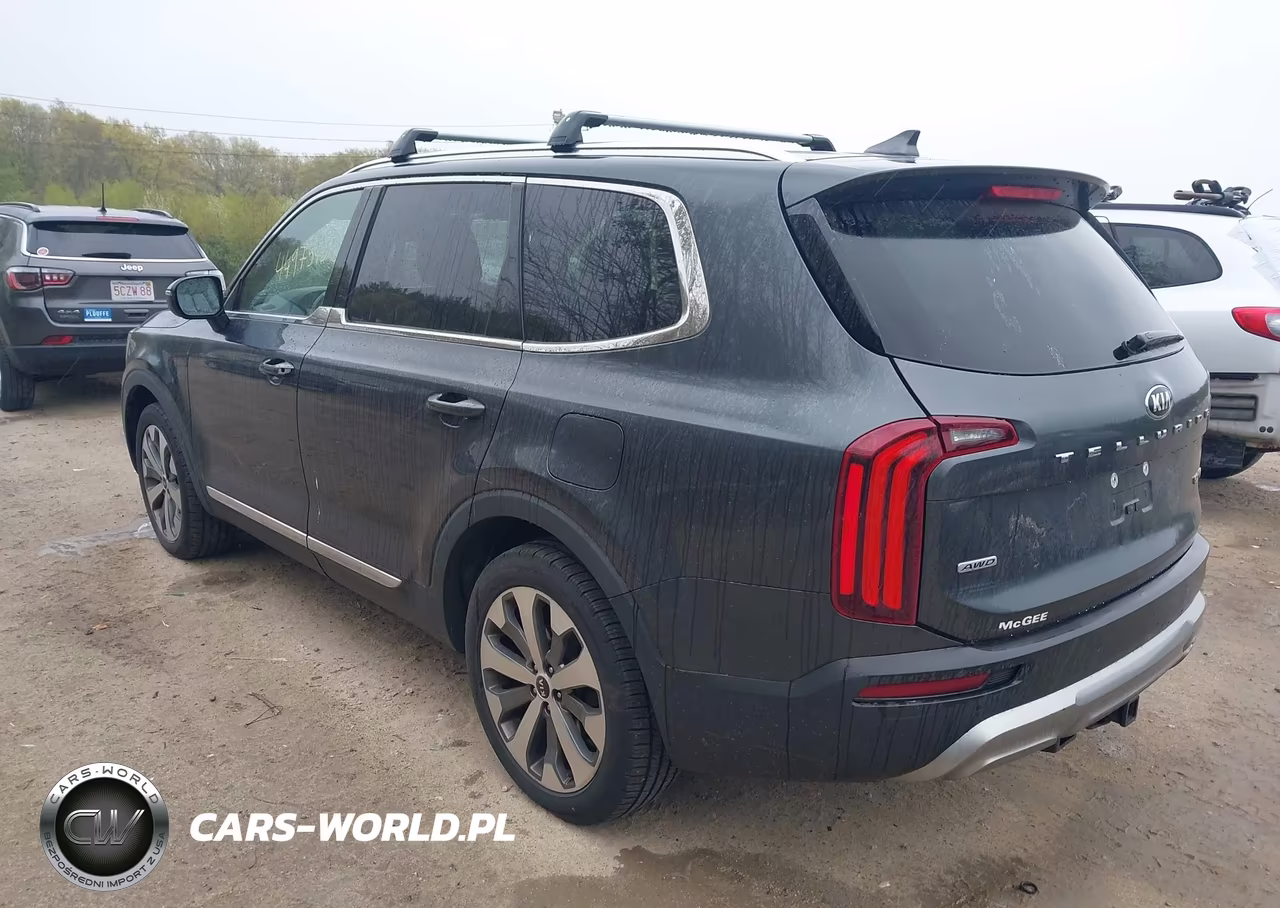 2020 Kia Telluride Ex VIN:5XYP3DHCXLG080501 - 3