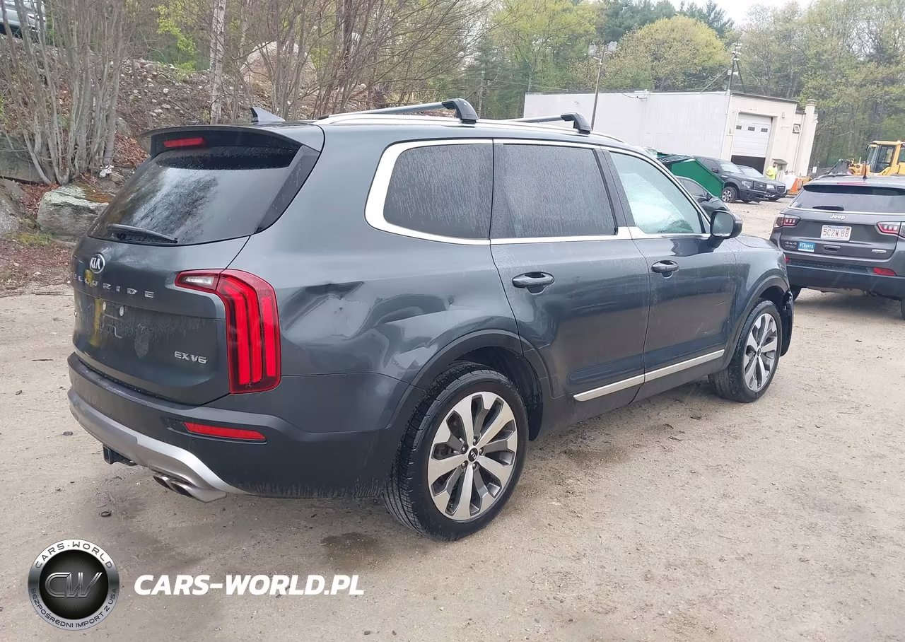 2020 Kia Telluride Ex VIN:5XYP3DHCXLG080501 - 4