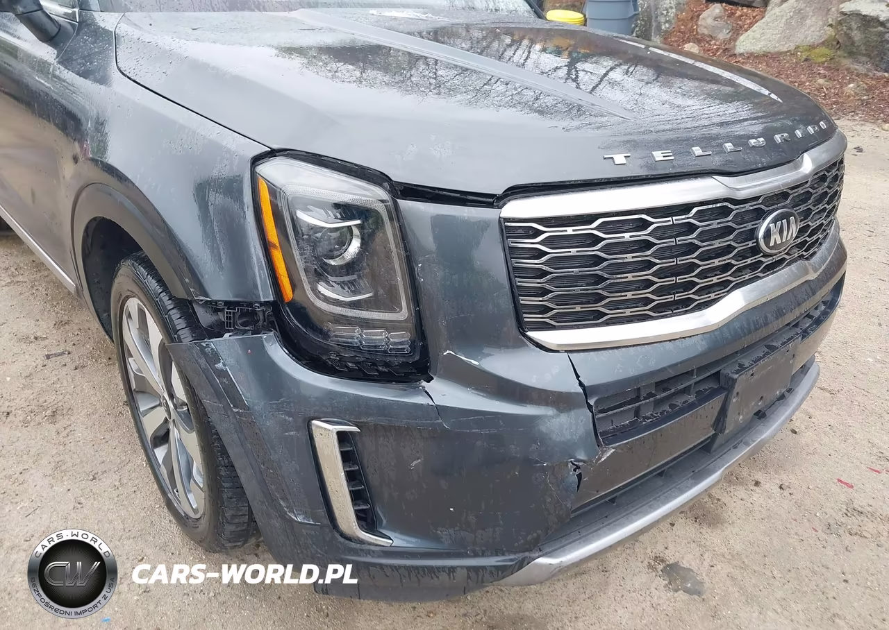 2020 Kia Telluride Ex VIN:5XYP3DHCXLG080501 - 6