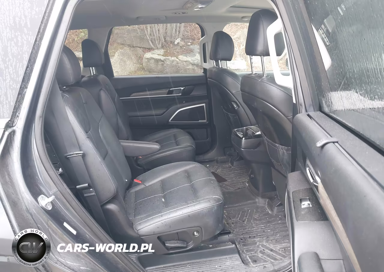 2020 Kia Telluride Ex VIN:5XYP3DHCXLG080501 - 8