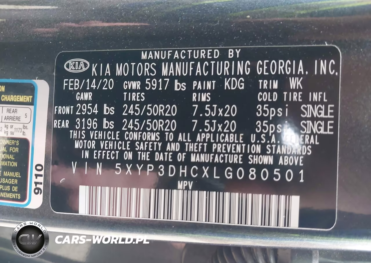 2020 Kia Telluride Ex VIN:5XYP3DHCXLG080501 - 9