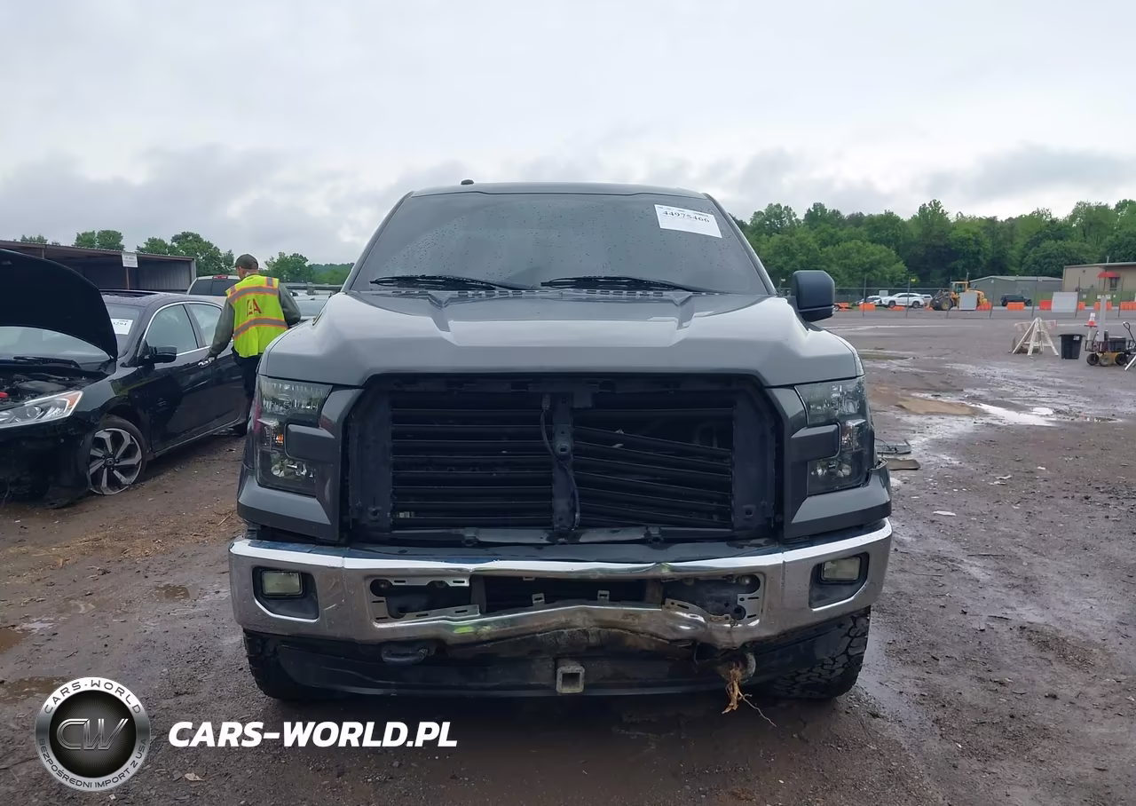 2015 Ford F-150 Xlt VIN:1FTEX1EP8FFC27181 - 12