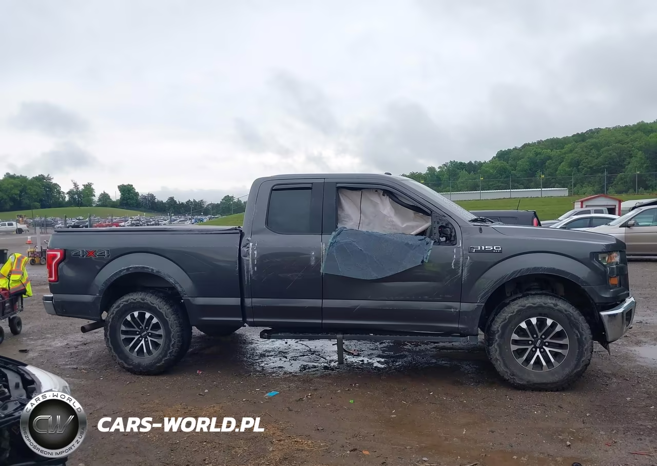 2015 Ford F-150 Xlt VIN:1FTEX1EP8FFC27181 - 13