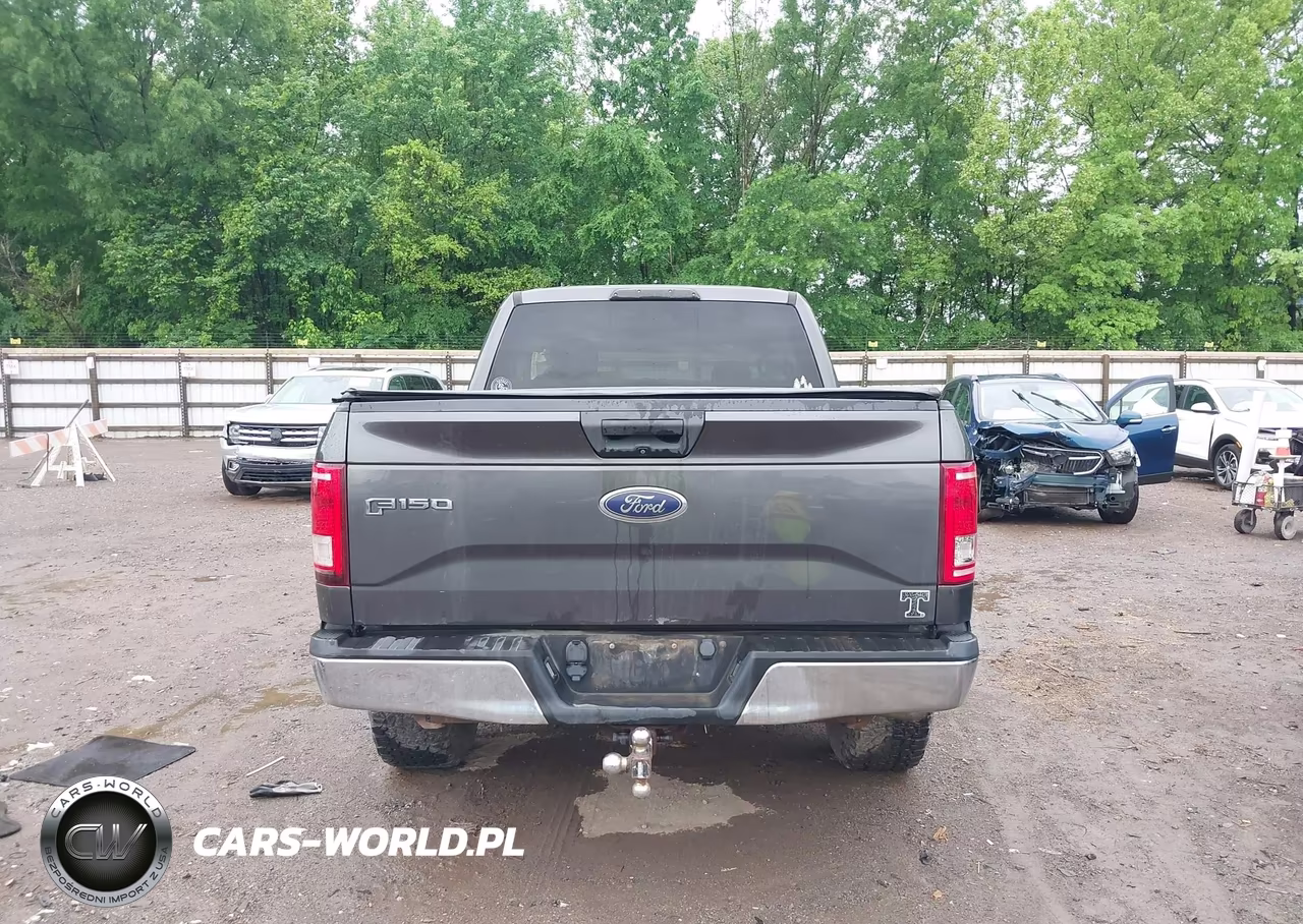 2015 Ford F-150 Xlt VIN:1FTEX1EP8FFC27181 - 16