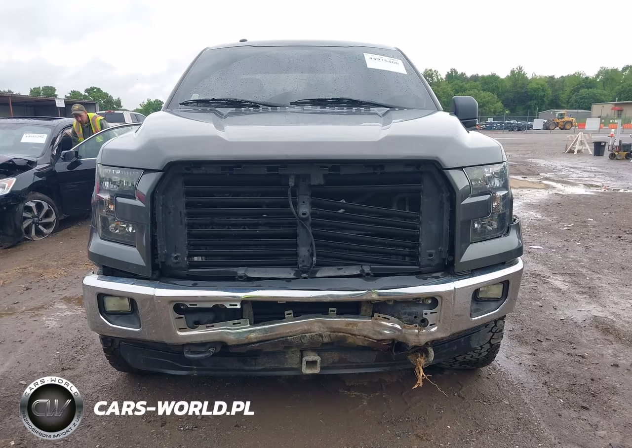 2015 Ford F-150 Xlt VIN:1FTEX1EP8FFC27181 - 6