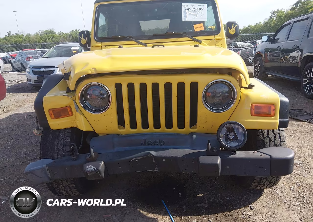 2004 Jeep Wrangler Unlimited VIN:1J4FA49S64P787661 - 13