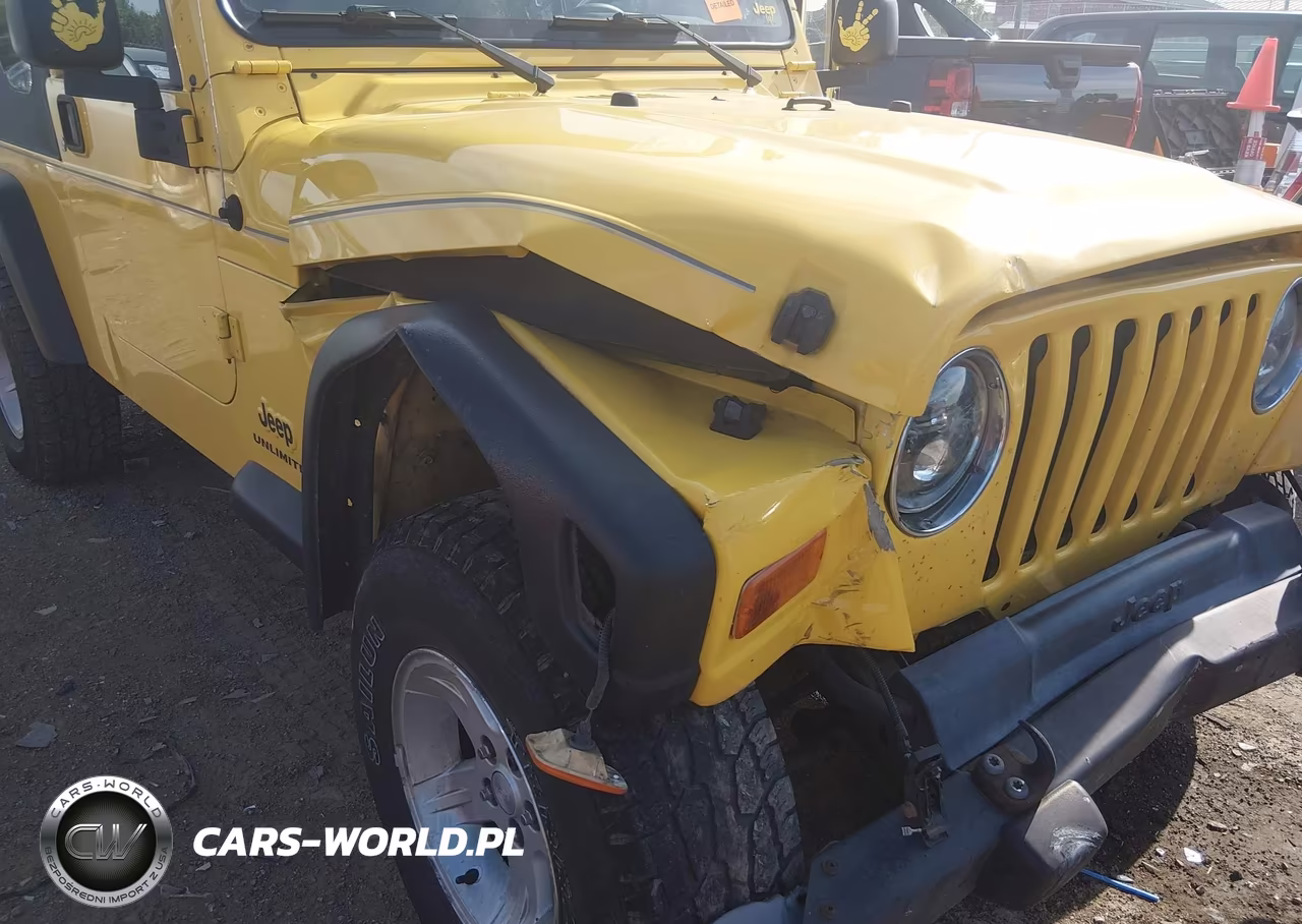 2004 Jeep Wrangler Unlimited VIN:1J4FA49S64P787661 - 6