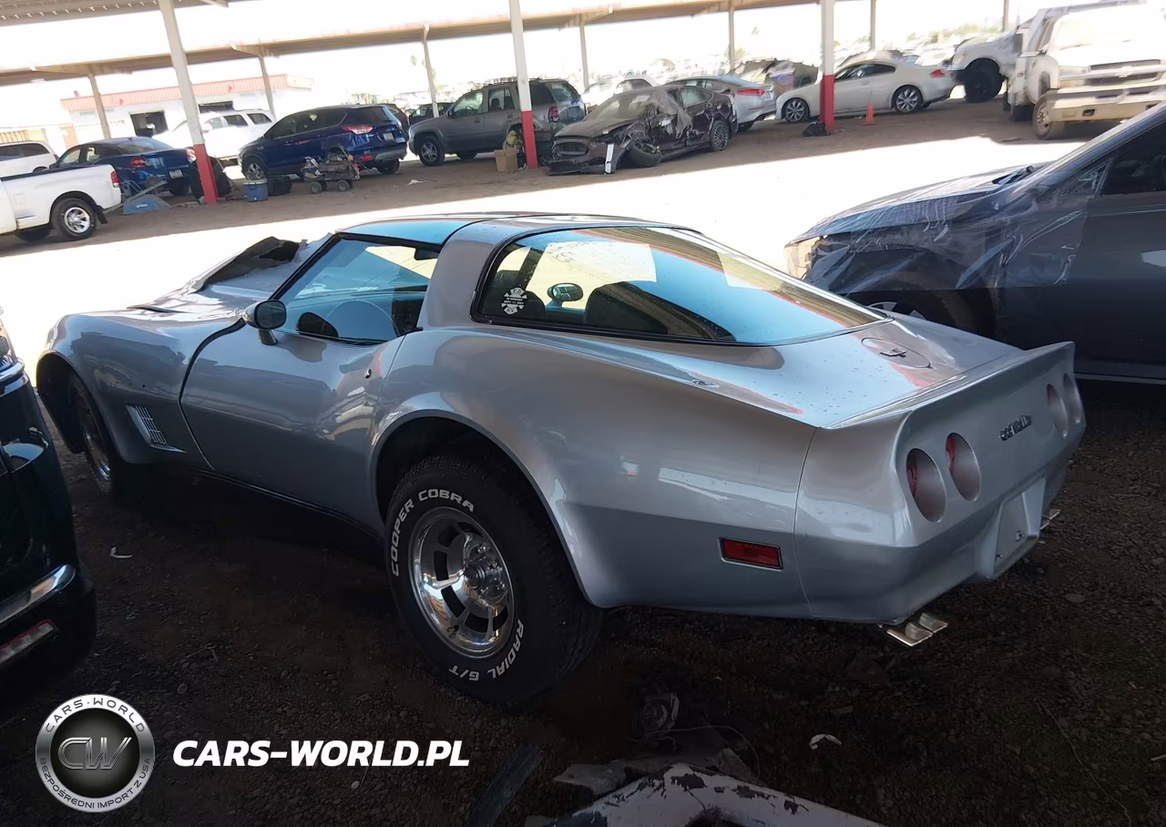 1982 Chevrolet Corvette VIN:1G1AY8786C5115385 - 13