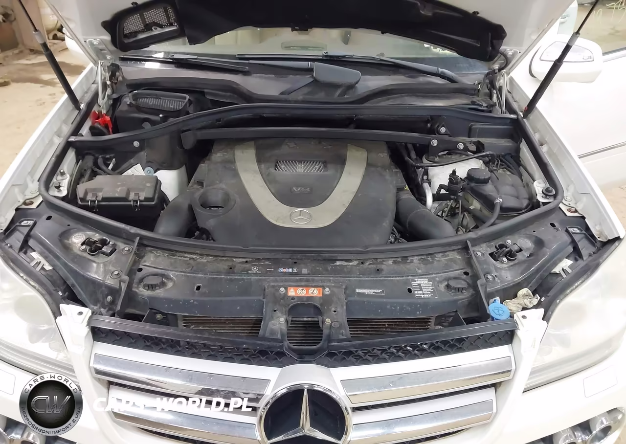 2010 Mercedes-Benz Gl 450 4Matic VIN:4JGBF7BE4AA601251 - 10