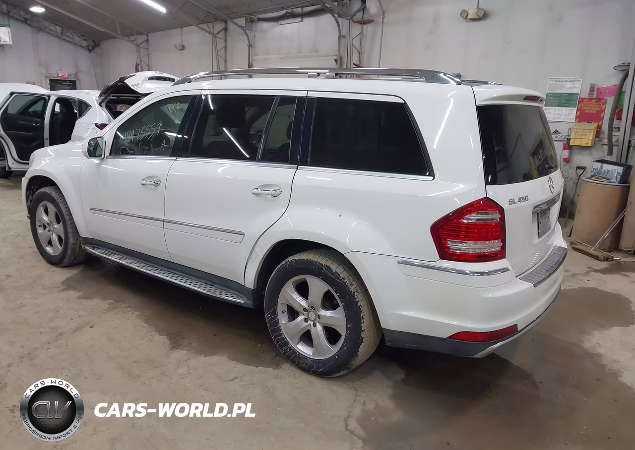 2010 Mercedes-Benz Gl 450 4Matic VIN:4JGBF7BE4AA601251 - 3