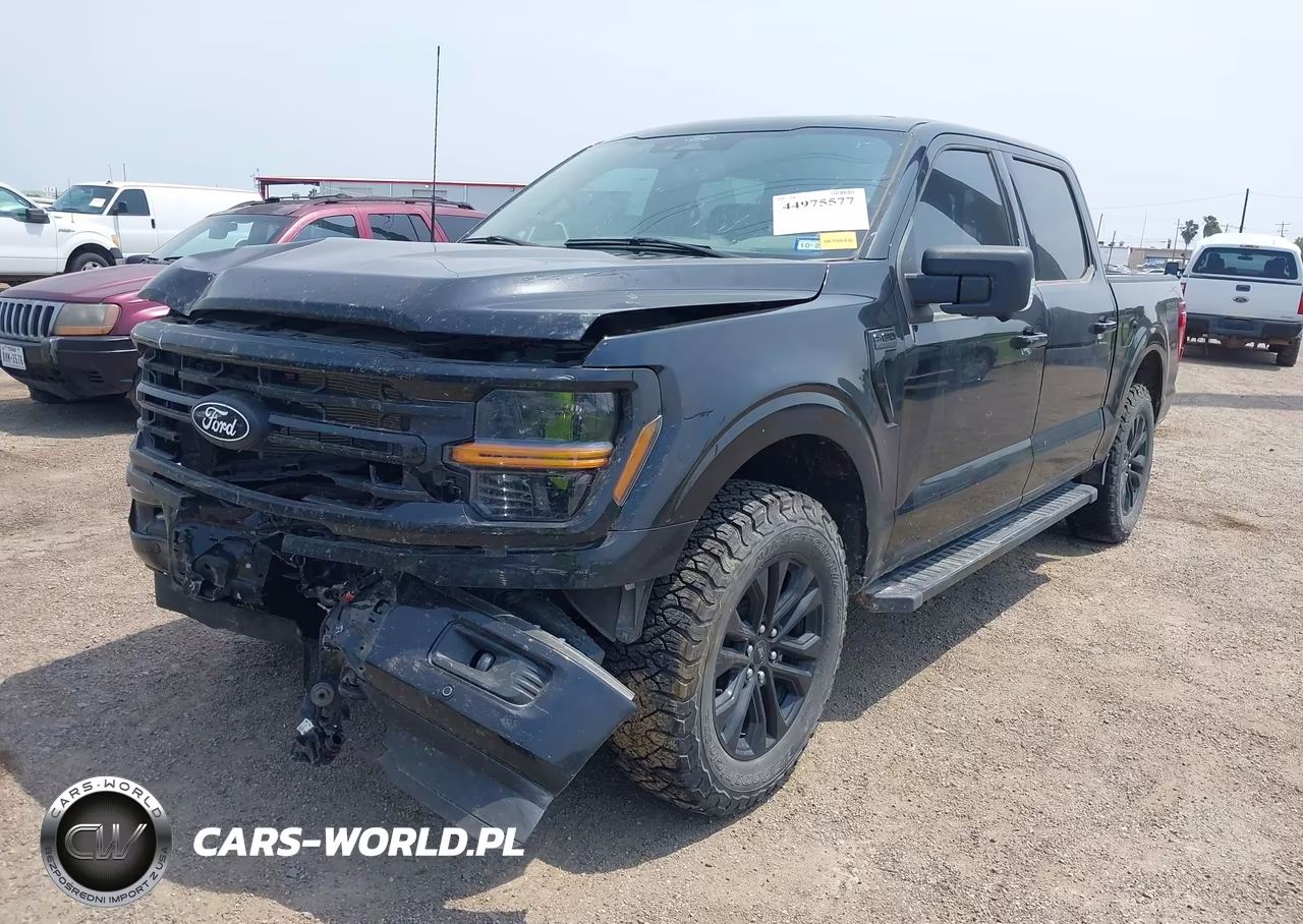 2024 Ford F-150 Xlt VIN:1FTFW3L84RFB53843 - 2