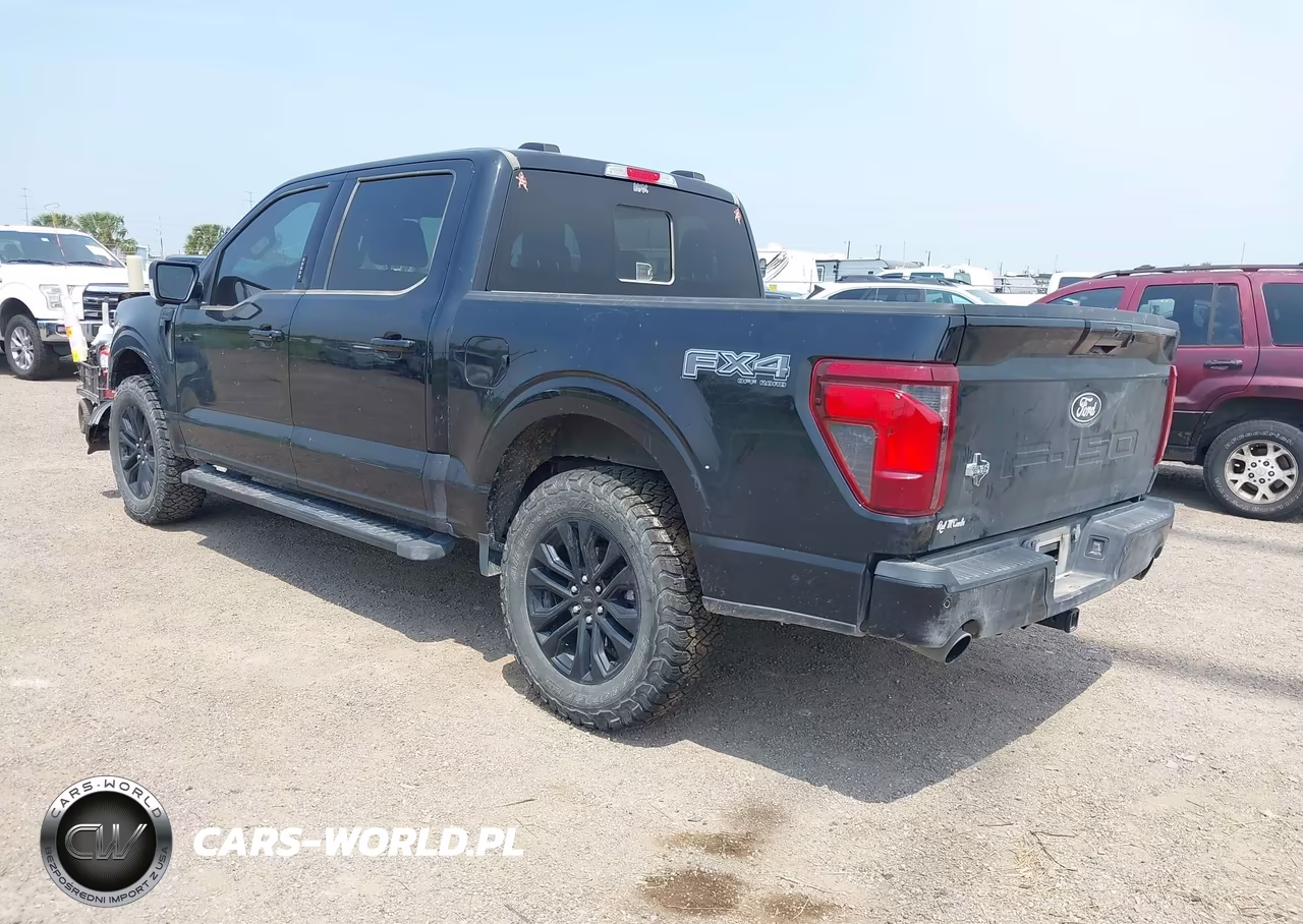 2024 Ford F-150 Xlt VIN:1FTFW3L84RFB53843 - 3