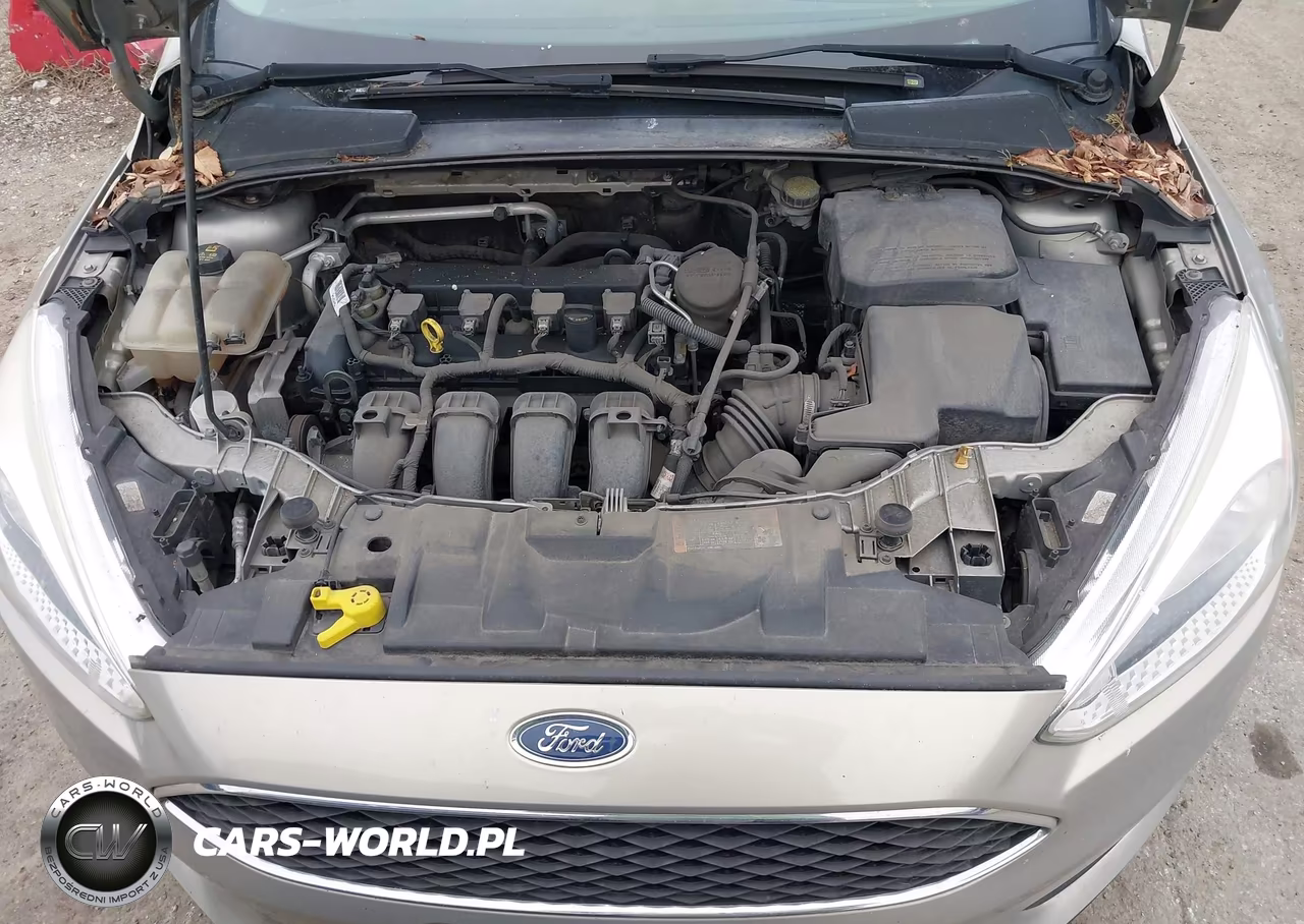 2016 Ford Focus Se VIN:1FADP3F29GL242341 - 10