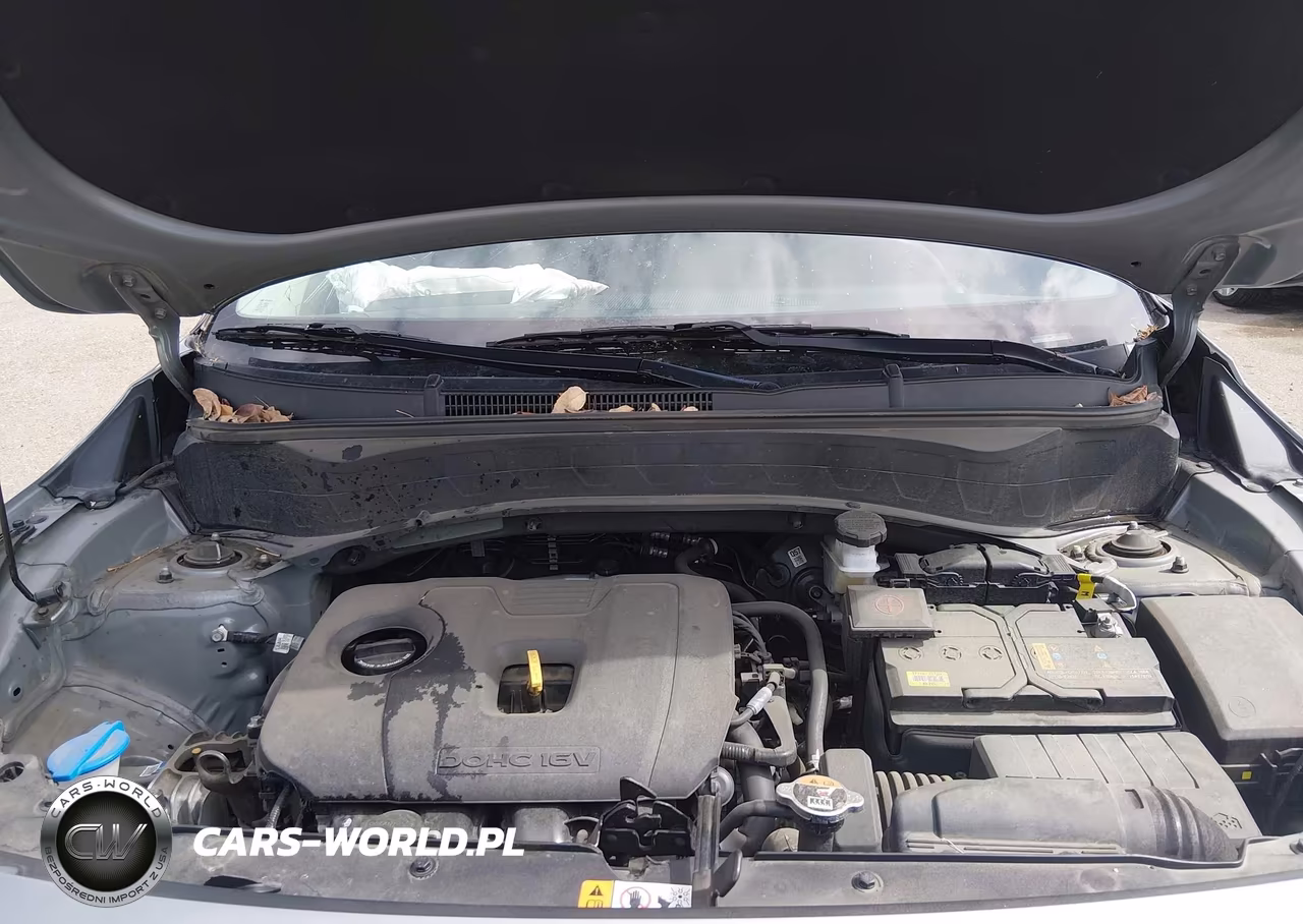 2024 Kia Seltos S VIN:KNDEUCAA4R7605761 - 10