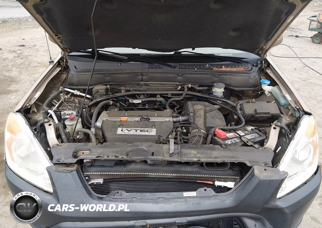 2004 Honda Cr-V Ex VIN:SHSRD788X4U249520 - 10