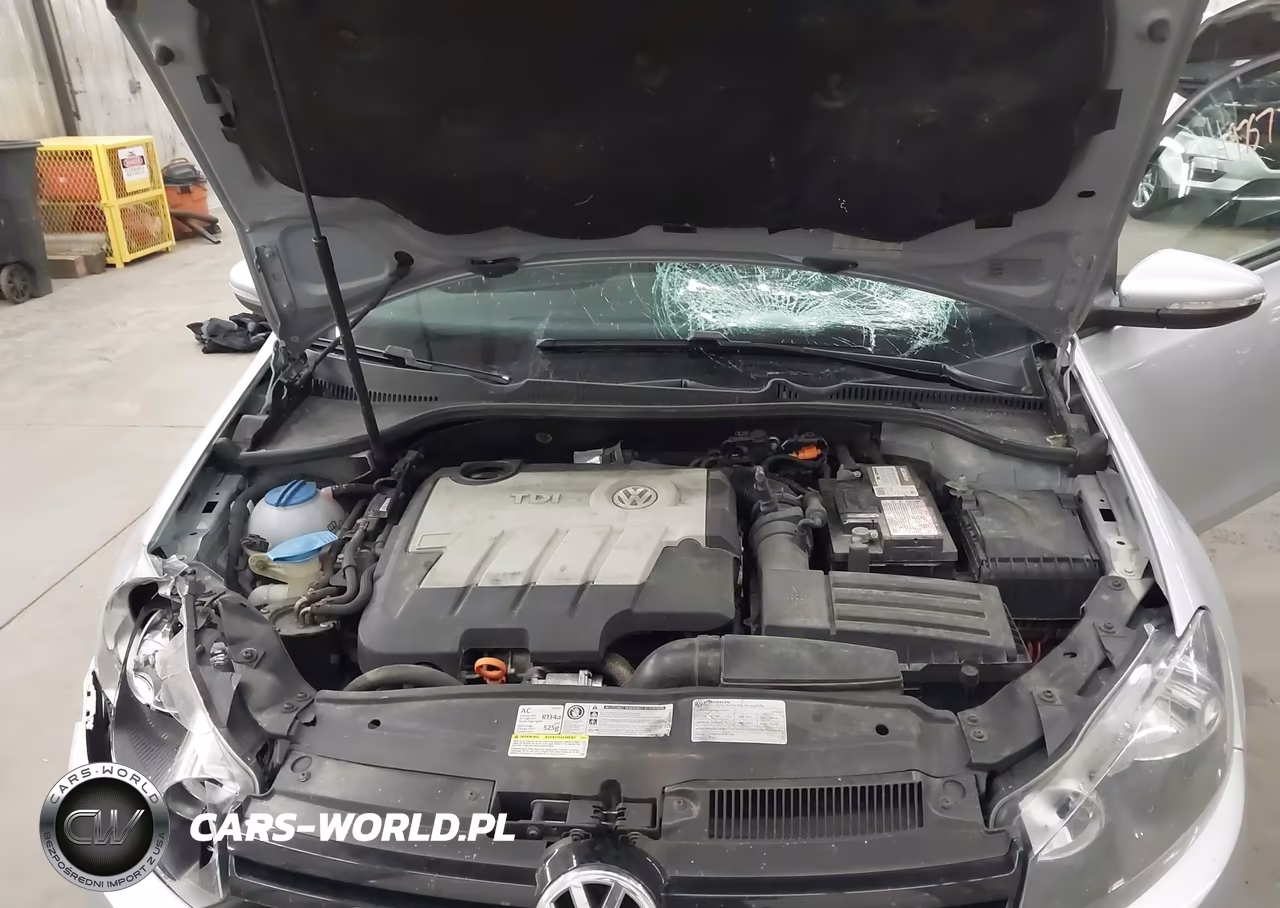2012 Volkswagen Golf Tdi 2-Door VIN:WVWBM7AJ7CW204731 - 10