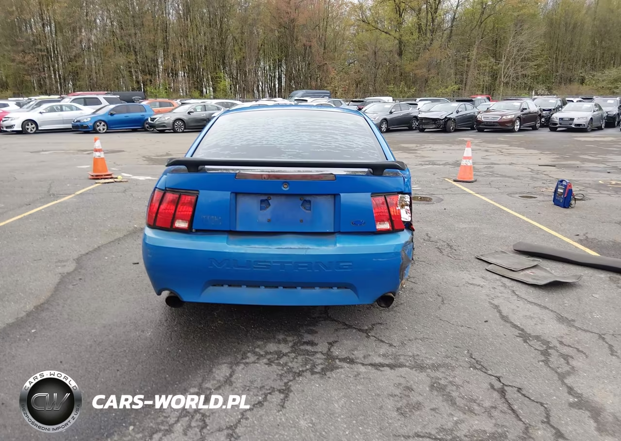 2003 Ford Mustang Mach 1 VIN:1FAFP42R73F428681 - 17