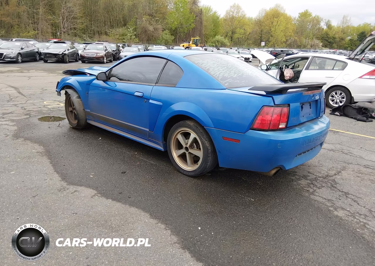 2003 Ford Mustang Mach 1 VIN:1FAFP42R73F428681 - 3