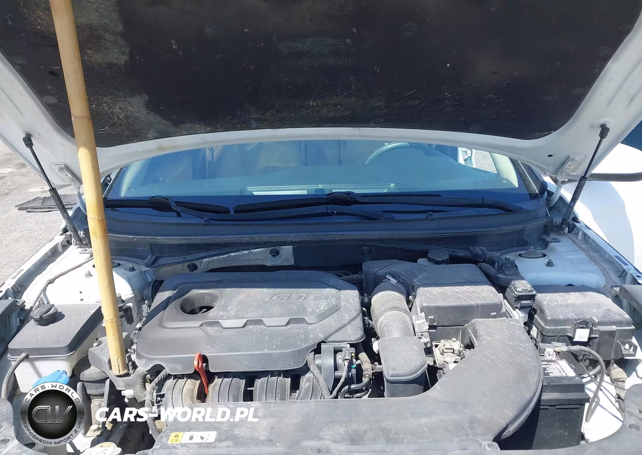 2015 Hyundai Sonata Se VIN:5NPE24AF5FH169338 - 10