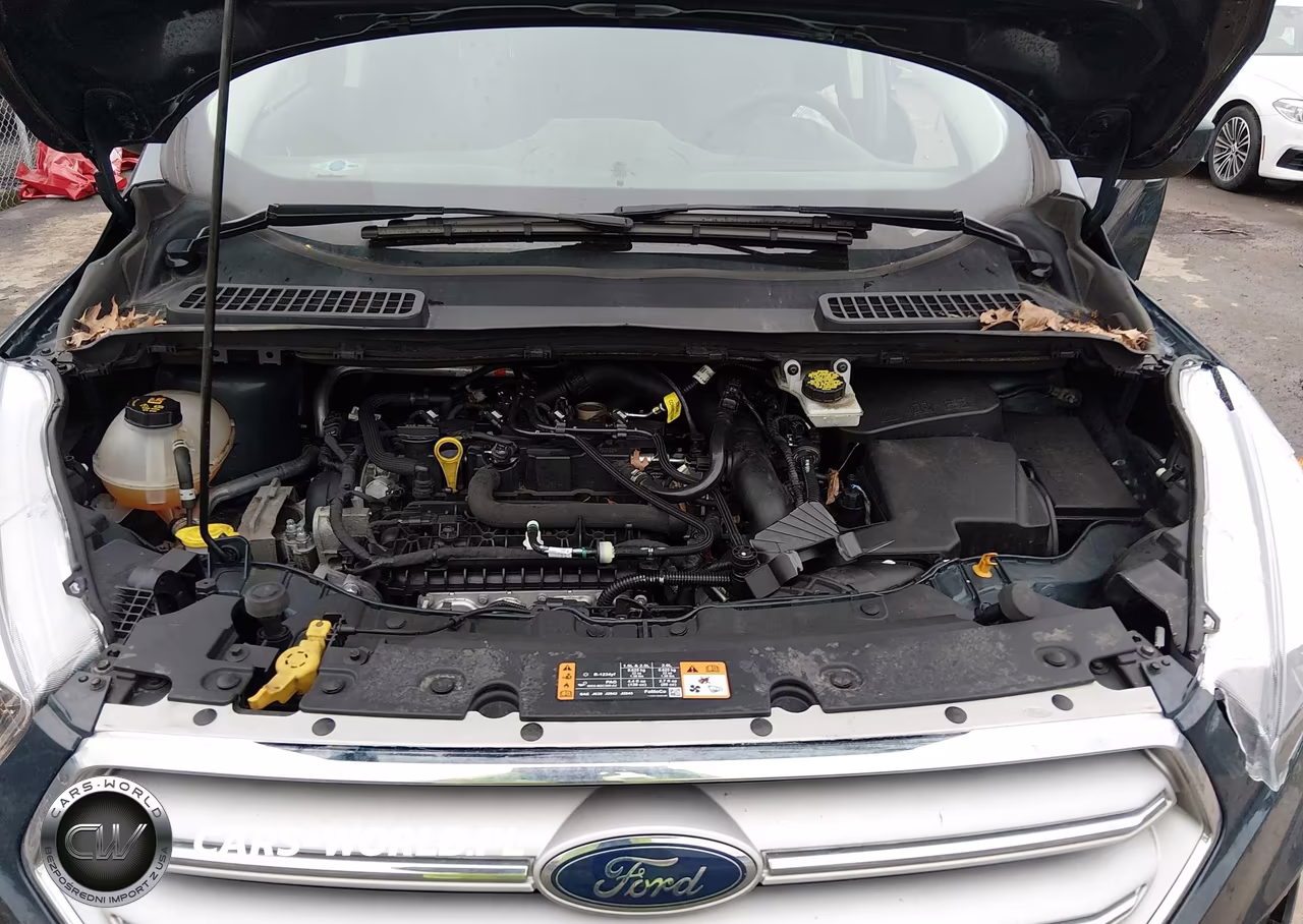 2019 Ford Escape Se VIN:1FMCU0GD3KUA14539 - 10