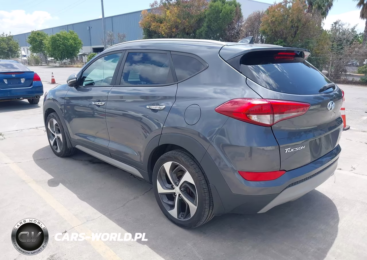 2017 Hyundai Tucson Limited VIN:KM8J3CA25HU347224 - 3