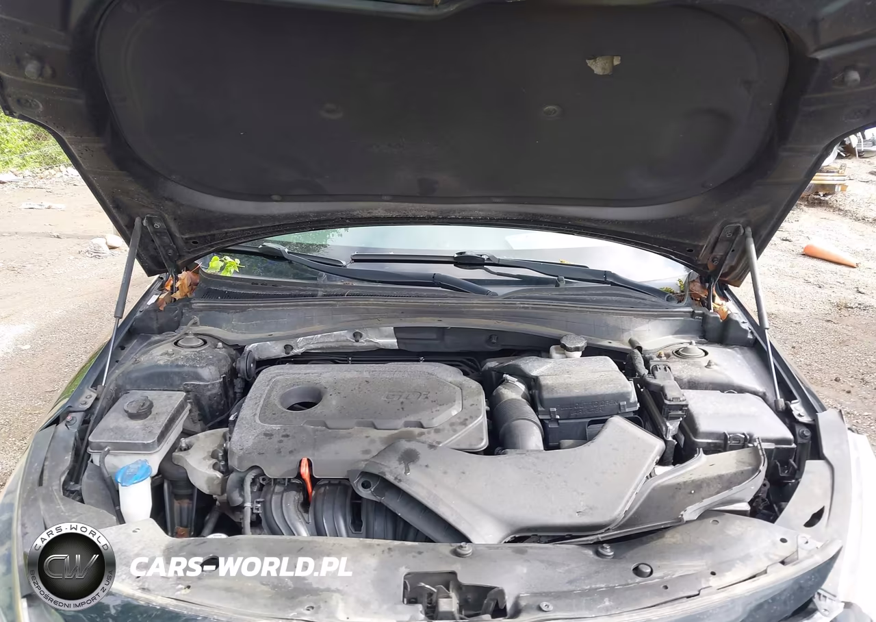 2016 Kia Optima Lx VIN:5XXGT4L3XGG036063 - 10