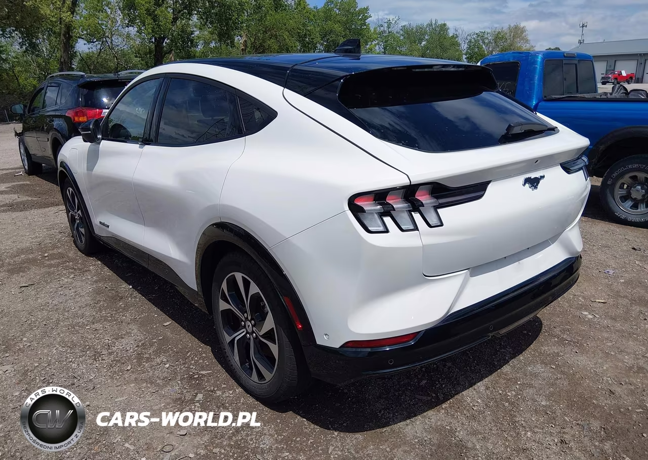 2021 Ford Mustang Mach-E Premium VIN:3FMTK3SU0MMA03214 - 3
