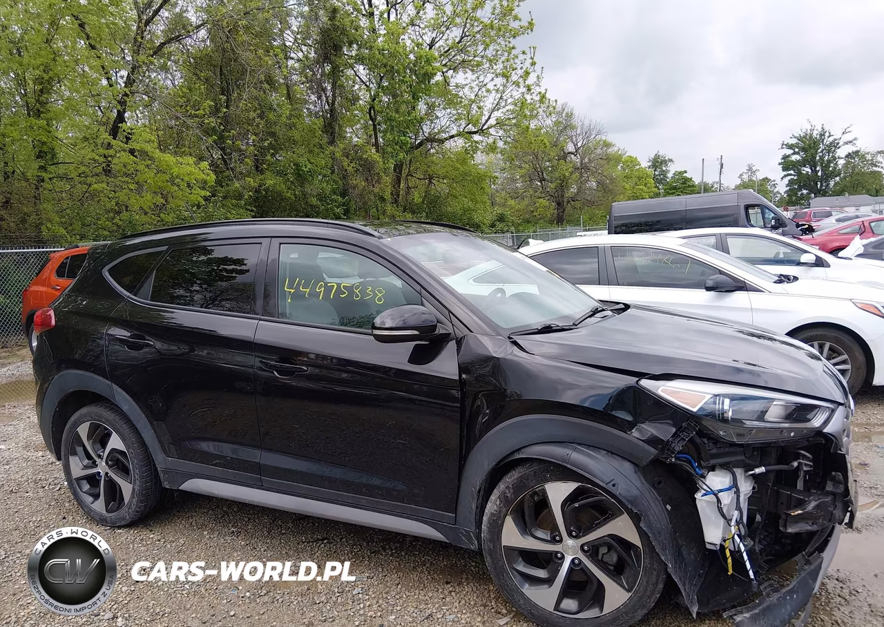 2017 Hyundai Tucson Value VIN:KM8J3CA20HU566107 - 14