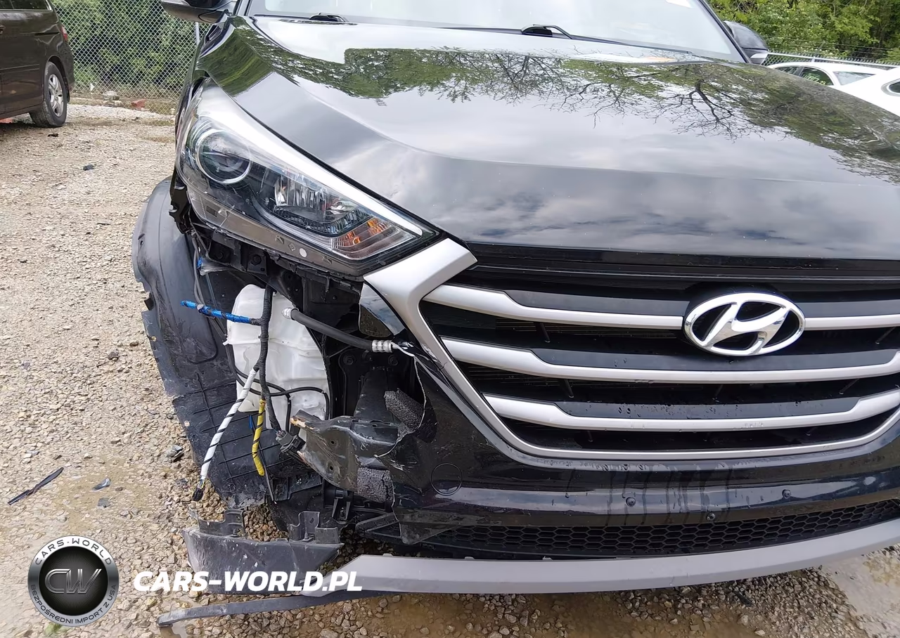 2017 Hyundai Tucson Value VIN:KM8J3CA20HU566107 - 18