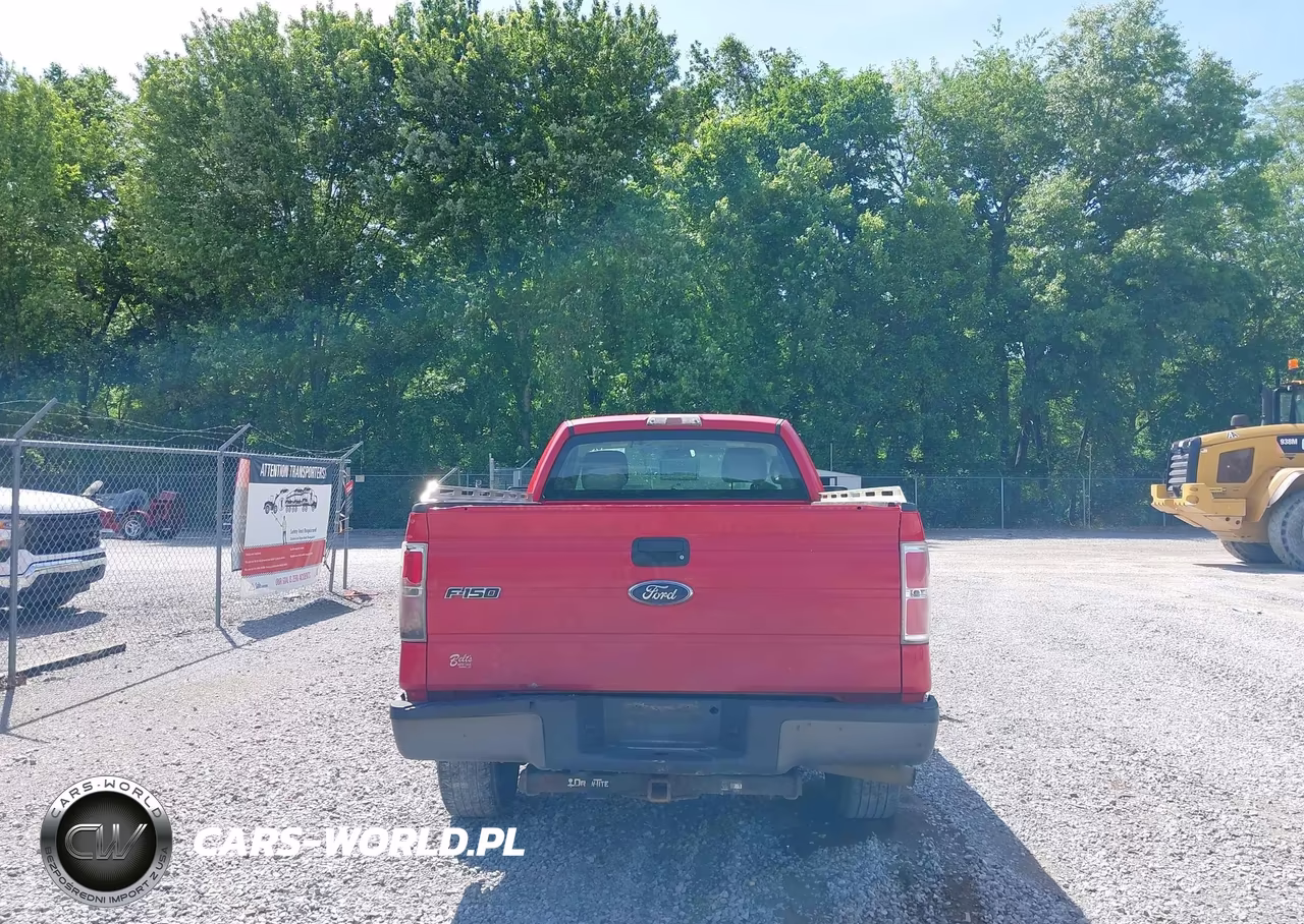 2010 Ford F-150 Stx-Xl-Xlt VIN:1FTMF1CW5AKE74392 - 17