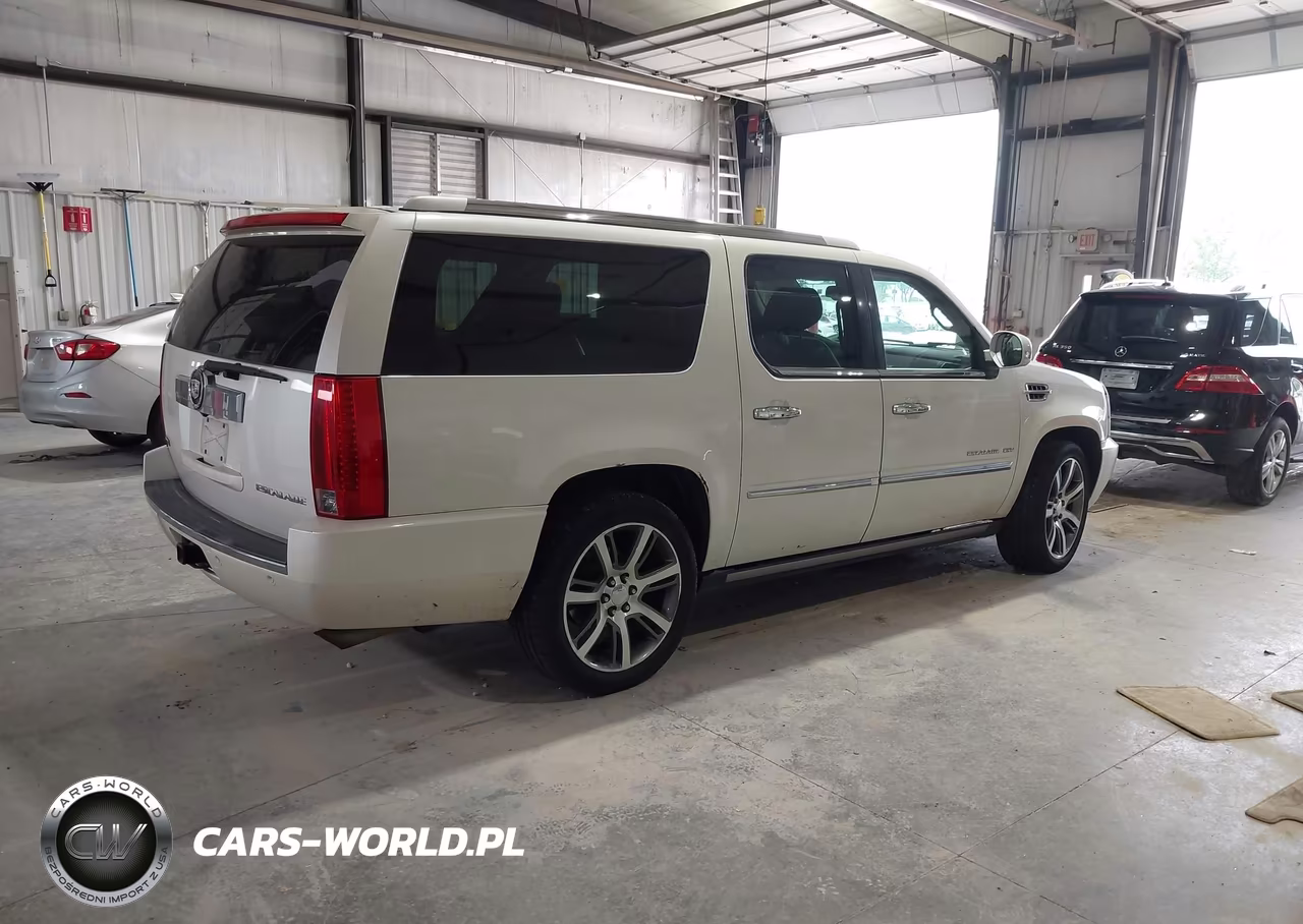 2011 Cadillac Escalade Esv Premium VIN:1GYS4JEF5BR117081 - 4