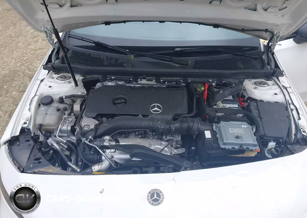 2021 Mercedes-Benz A 220 VIN:W1K3G4EBXMJ255139 - 10