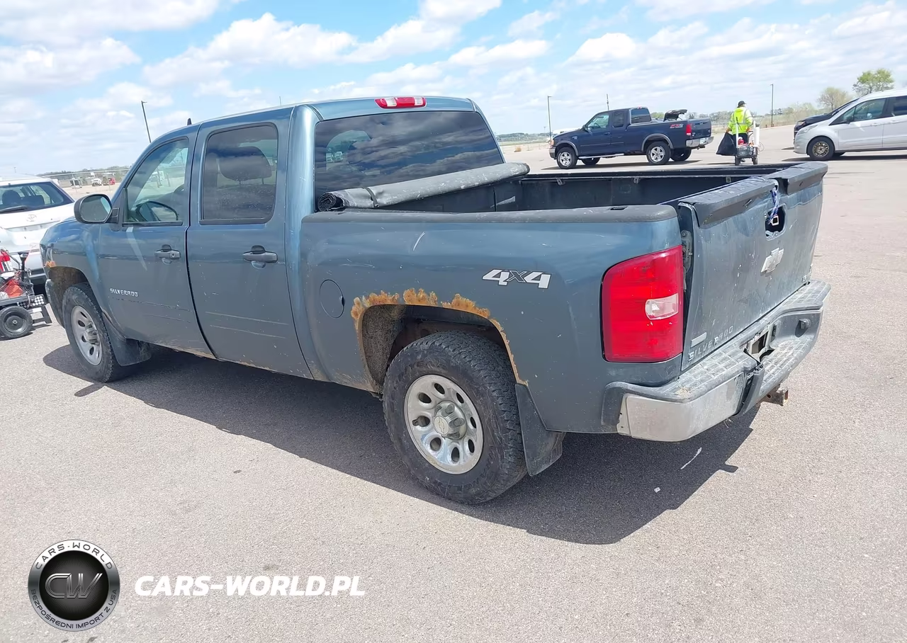2010 Chevrolet Silverado 1500 Ls VIN:3GCRKREA2AG290908 - 3