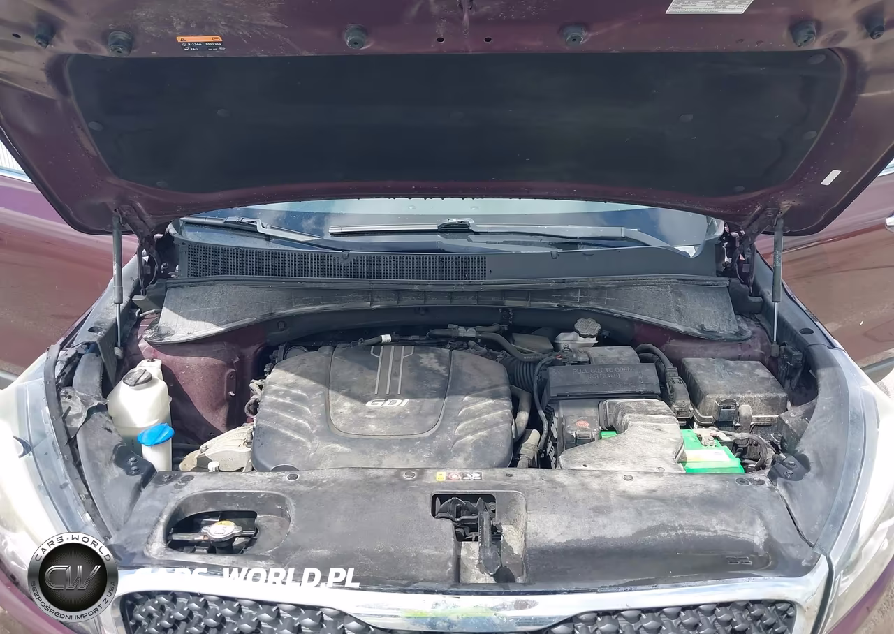 2017 Kia Sorento 3.3L Lx VIN:5XYPGDA57HG233486 - 10