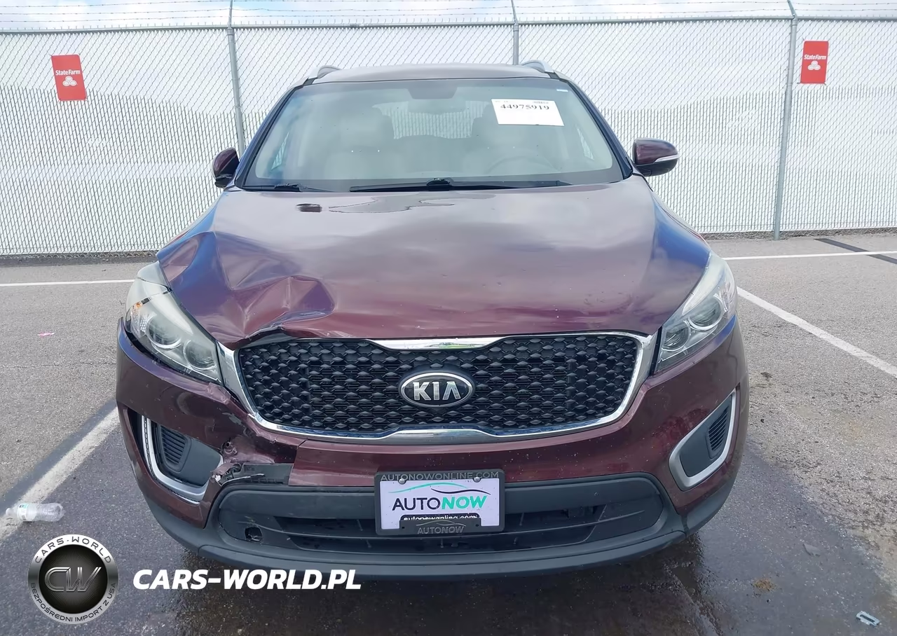 2017 Kia Sorento 3.3L Lx VIN:5XYPGDA57HG233486 - 12