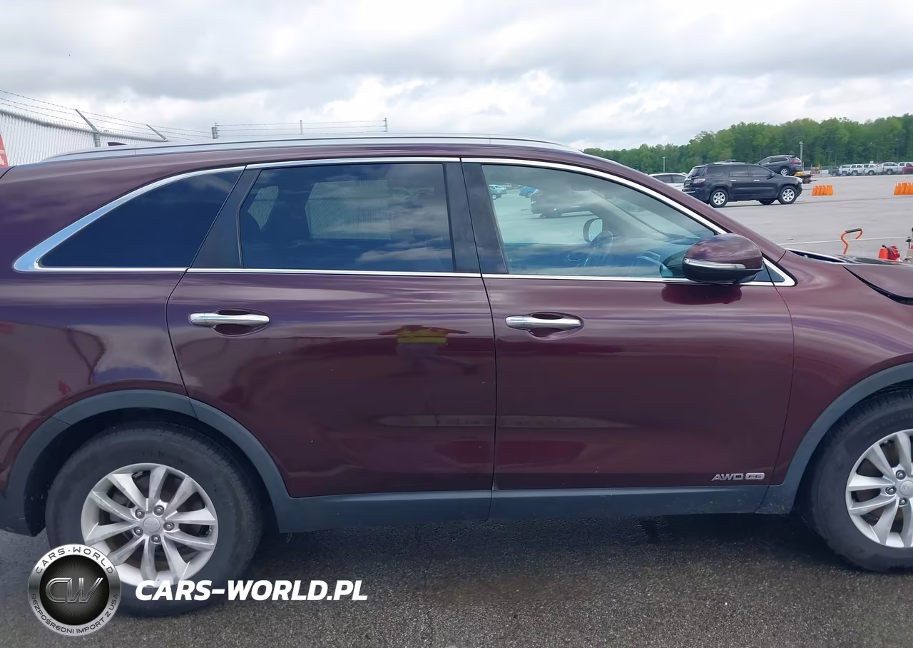 2017 Kia Sorento 3.3L Lx VIN:5XYPGDA57HG233486 - 13