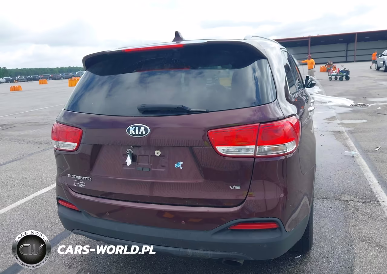 2017 Kia Sorento 3.3L Lx VIN:5XYPGDA57HG233486 - 16