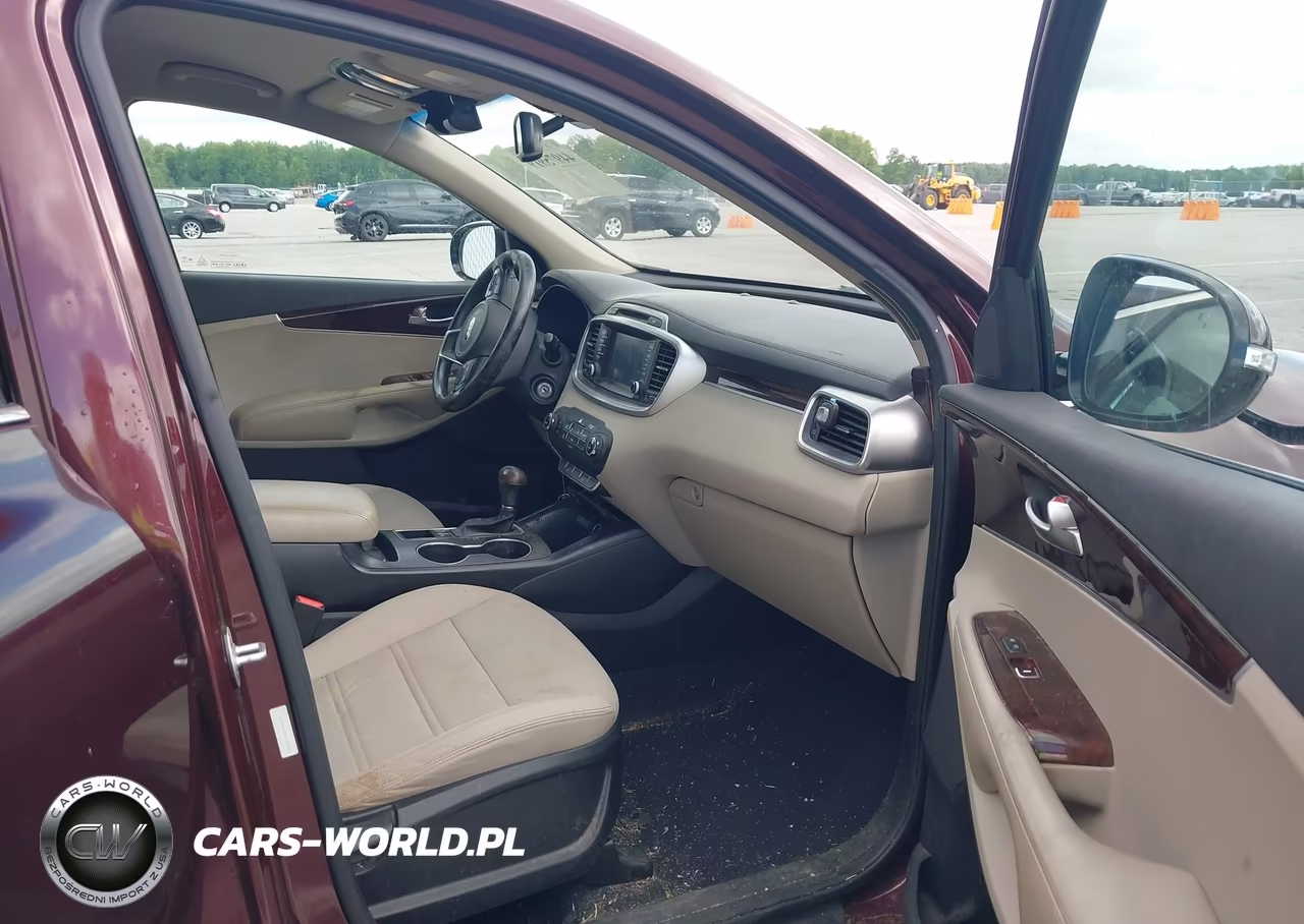 2017 Kia Sorento 3.3L Lx VIN:5XYPGDA57HG233486 - 5