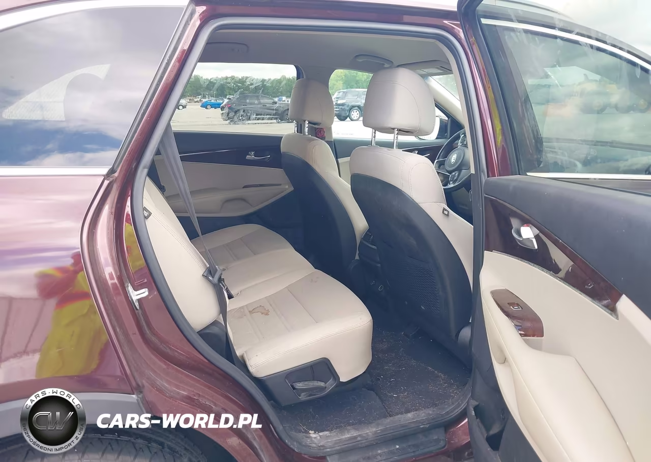 2017 Kia Sorento 3.3L Lx VIN:5XYPGDA57HG233486 - 8